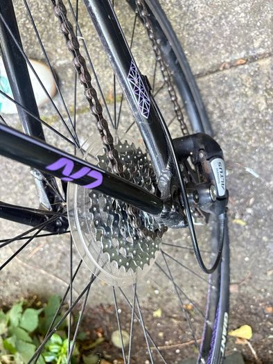 ladies liv bike