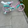 Bike Image 2