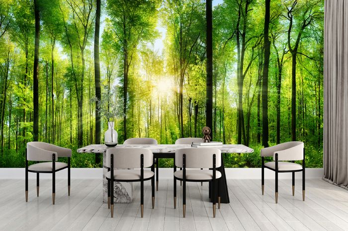 Non-woven Wall Mural / Photo Wallpaper