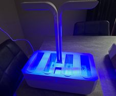 Veritable indoor garden