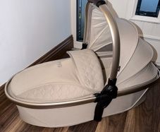 Egg travel system