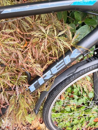 trek bicycle