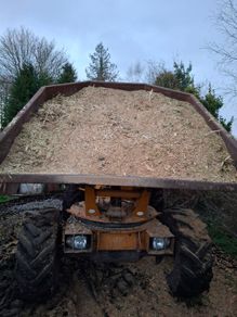 bark mulch