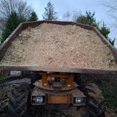 bark mulch