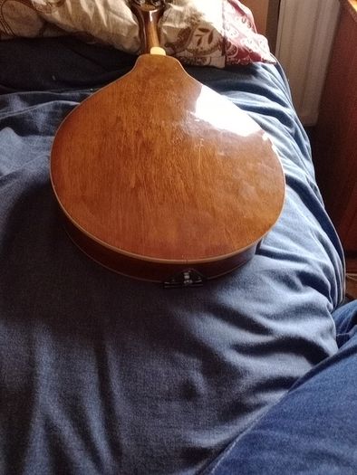 Palmer mandolin P3W  late 70s r early 80s and gigbag