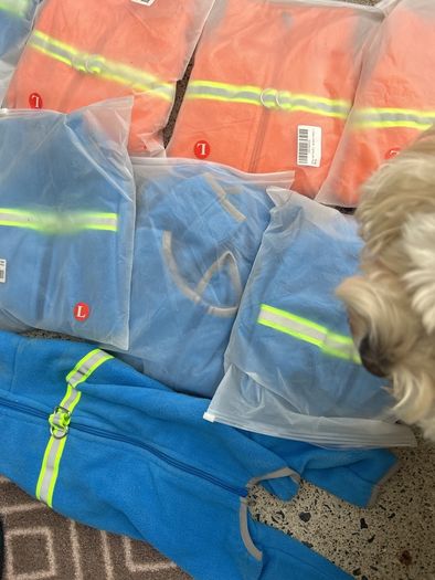 Bear Small Dogs Winter Clothes,Dog Winter Warm Coat Soft Fleece with Reflective Zip Dog Onesie Jumpsuit, Puppy Pet Pajamas Costume Apparel (Blue, L)