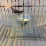 Beautiful Glass Bird Tealight holder Image 3