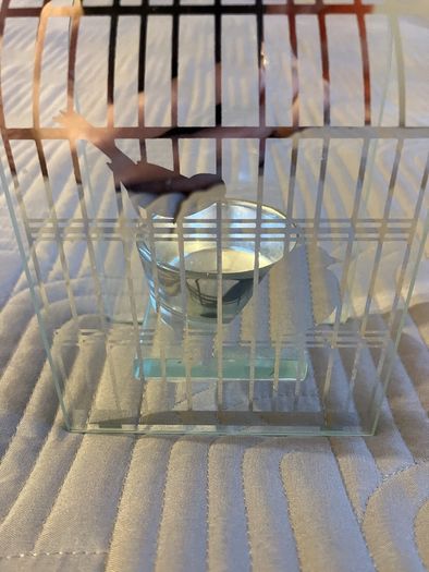 Beautiful Glass Bird Tealight holder