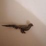 pheasant brooch vintage sterling silver Image 3