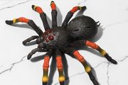 Pre Owned ZURU Robo Alive Giant Tarantula