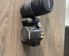 Canon 500D + 75-300mm lens