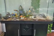Aquarium 400l