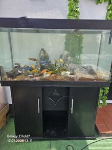 Aquarium 400l