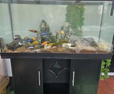 Aquarium 400l
