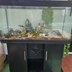 Aquarium 400l