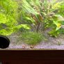 Three complete aquariums Image 2