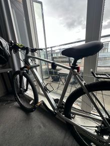 Trek bike