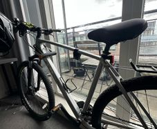 Trek bike