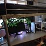 High sleeper loft bed Image 5