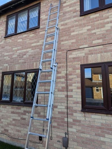 Werner Extension Ladder
