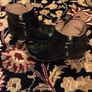 Zara Boots size EU-29, UK-11 Image 6
