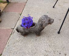 planter