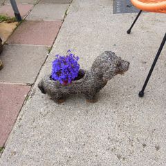 planter