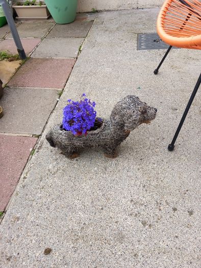 planter