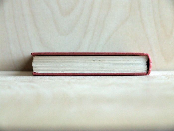 Legio Mariae: The Official Handbook of the Legion of Mary (1962)