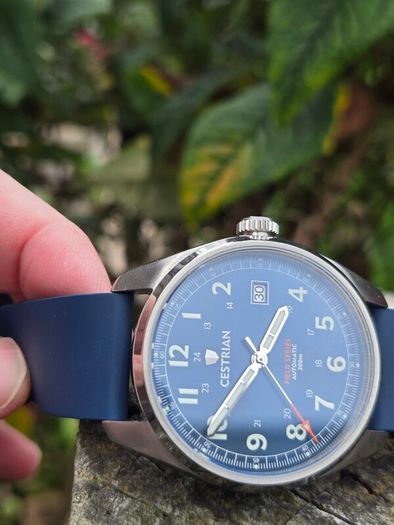 Cestrian Field Watch