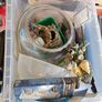 Fish Tank, cleaning bowl, ideal starter pack Image 8