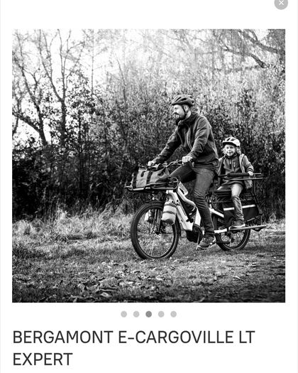 Electric Bike