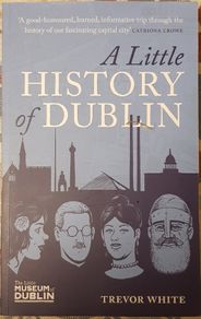 A Little History Of Dublin by Trevor White
