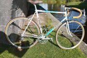 Pinarello Treviso 56cm Campagnolo Record 10 sp