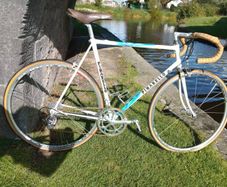 Pinarello Treviso 56cm Campagnolo Record 10 sp