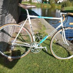 Pinarello Treviso 56cm Campagnolo Record 10 sp