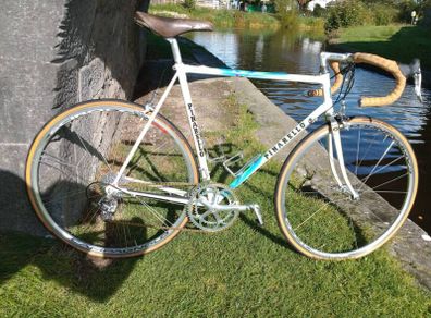 Pinarello Treviso 56cm Campagnolo Record 10 sp