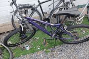 ladies bike