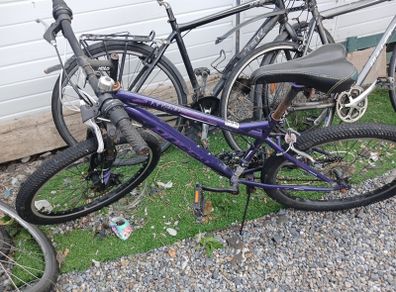 ladies bike