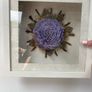 3D Lilac Flower In Box Frame Image 2