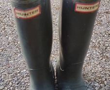 Ladies Hunter wellington boots