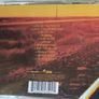 Starsailor - Love is Here Cd Image 2