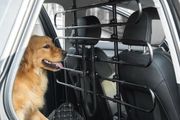 Car Dog Guard