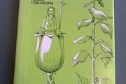 Franciscan Ireland by Patrick Conlon Ireland Irish History