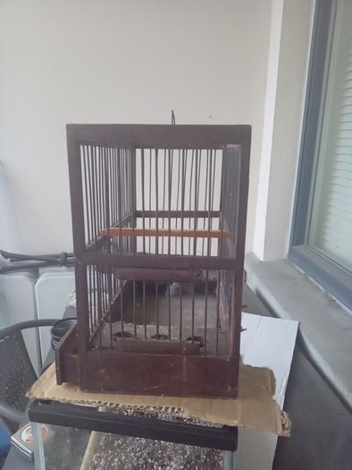 bird finch canary hopper cage I gave my birds away