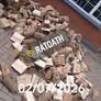 Firewood 2026 Image 4