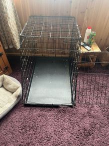 dog training cage