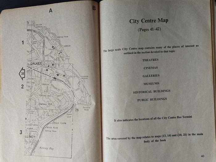 Vintage Dublin City Street finder