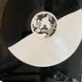 Gruff Rhys (Super Furry Animals) -  (Don't) Welcome The Plague As A Blessing - The Babelsberg Basement Files Image 4