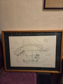 Le Poisson Pirate (The Pirate Fish) by French artist Francois Delaroziere - Framed